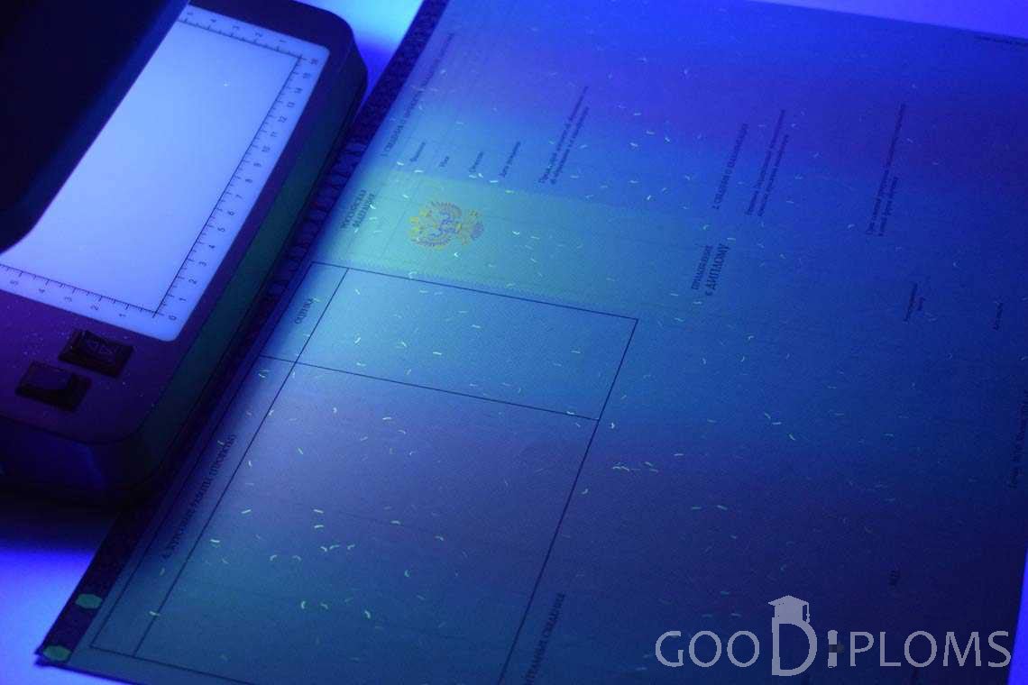 Приложение к Диплому Бакалавра с Отличием в Ультрафиолете период c 2013 по 2025 год - Оренбург
