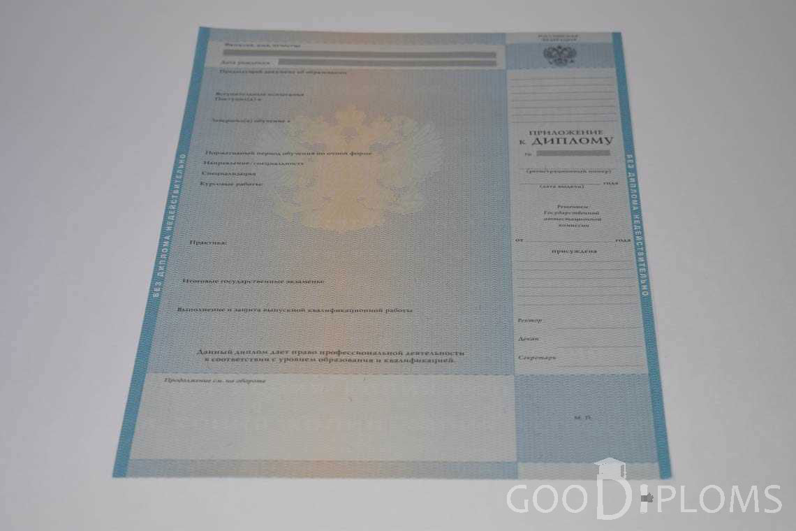 Приложение к Диплому Магистра в период c 2009 по 2010 год - Оренбург