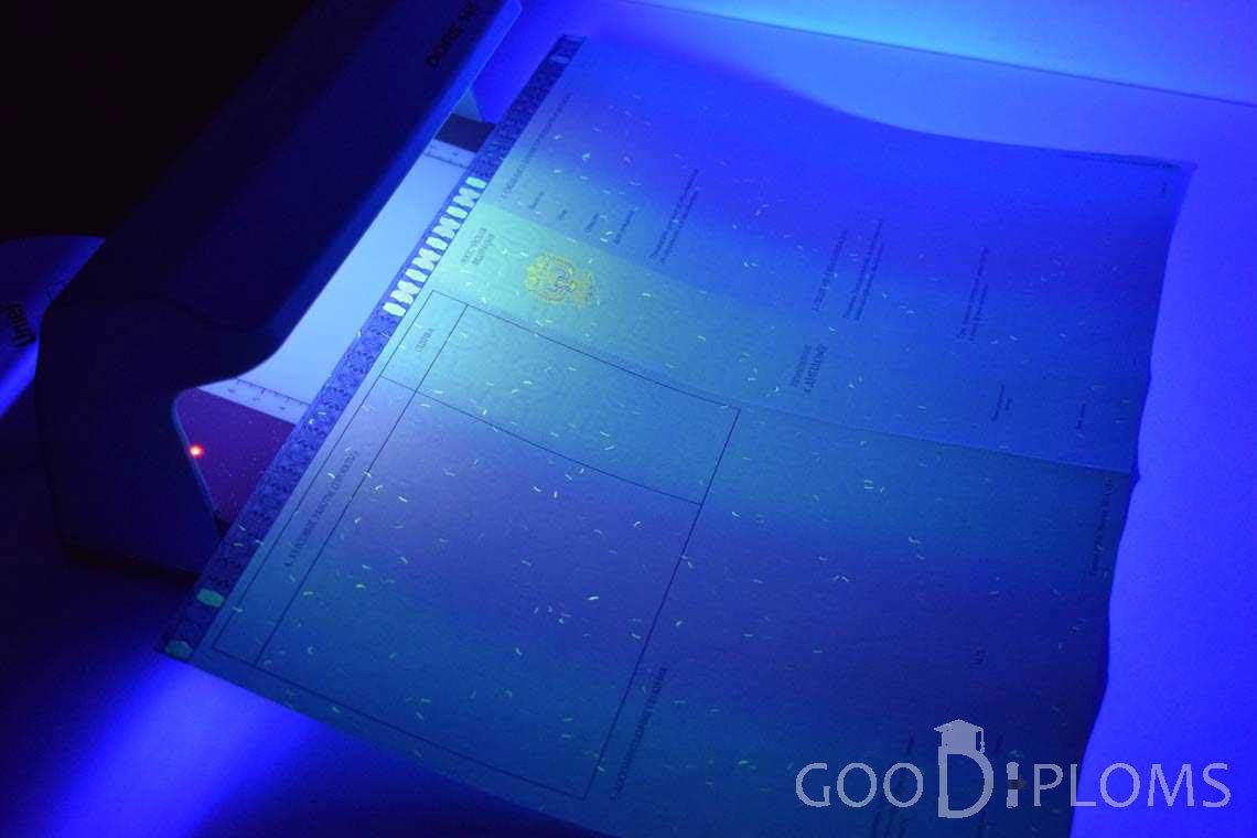 Приложение к Диплому Магистра в Ультрафиолете в период c 2014 по 2025 год - Оренбург