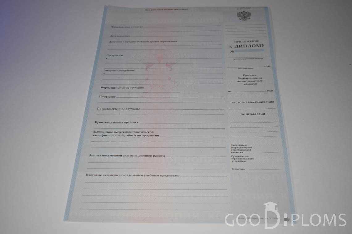 Приложение к Диплому Училища период выдачи 2007-2010  -  Оренбург