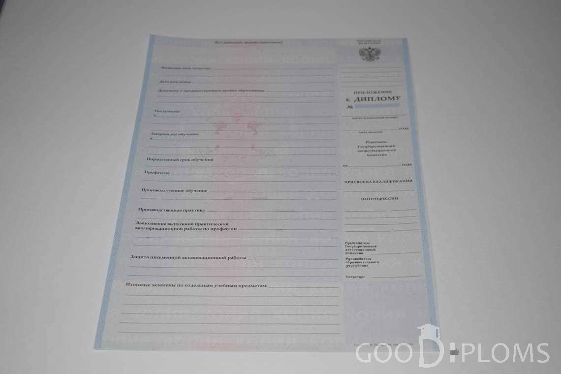 Приложение к Диплому Техникума с Отличием в период c 2008 по 2010 год - Оренбург
