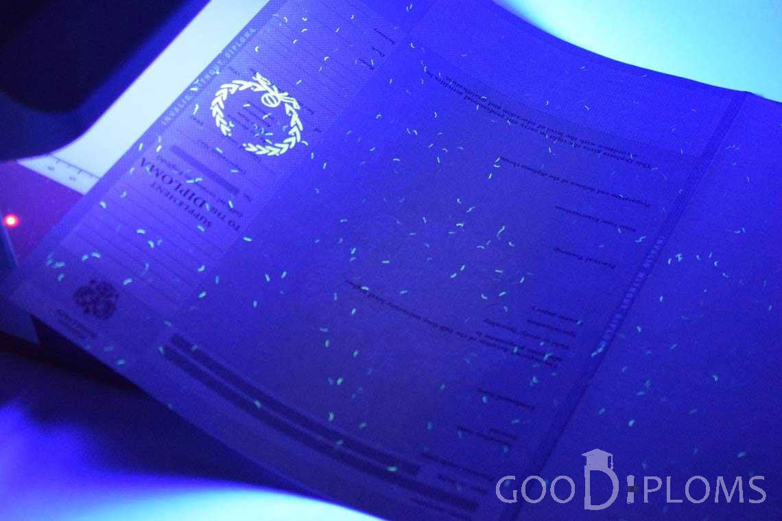 Приложение к Диплому Для Иностранных Граждан в Ультрафиолете - Оренбург