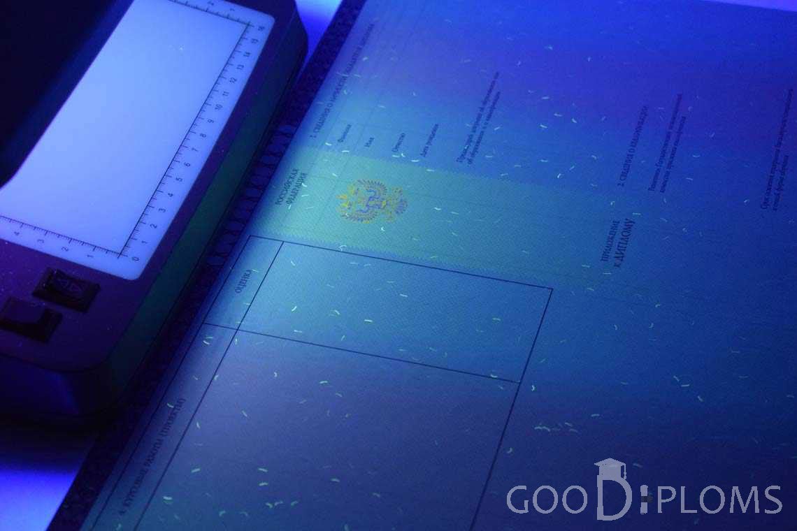 Приложение к Диплому о Высшем Образовании с Отличием в Ультрафиолете - Оренбург